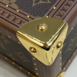 Louis Vuitton Camera Box M10079 Brown